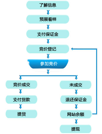 沿海拍卖拍卖流程图